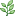leef.png
