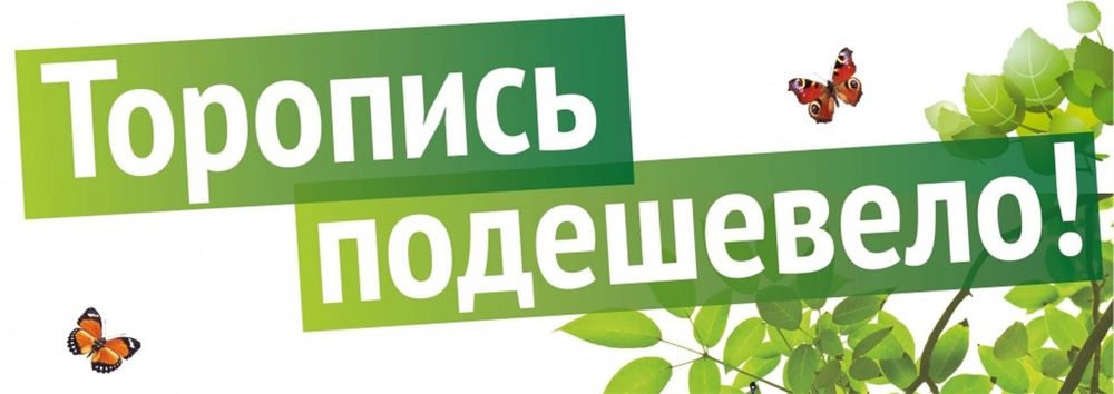 letniy_tsenopad.jpg